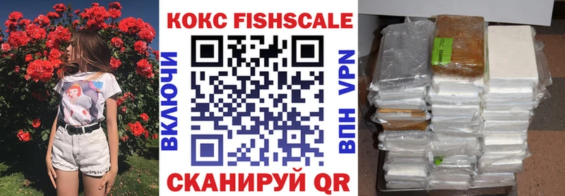 Кокаин FishScale  где купить наркоту  Покровск 