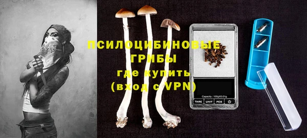 винт Надым