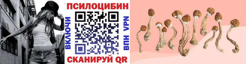 Псилоцибиновые грибы Psilocybe hydra как войти Покровск где можно купить